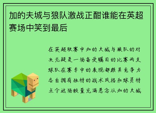 加的夫城与狼队激战正酣谁能在英超赛场中笑到最后